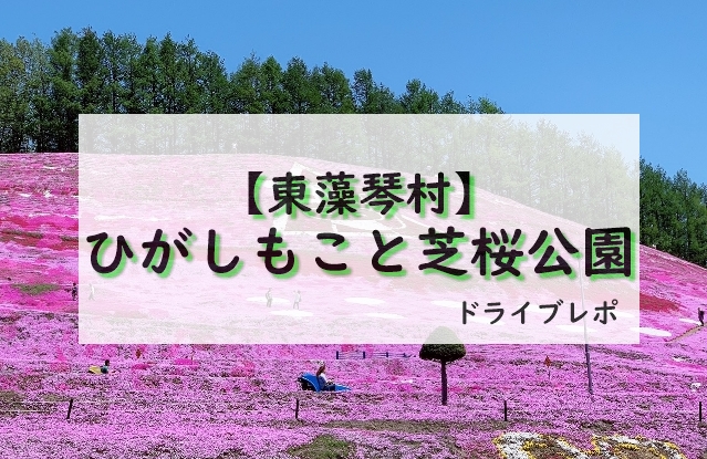 東藻琴芝桜公園の圧巻の芝桜 ひぃの北海道お出掛け日記 時々道外